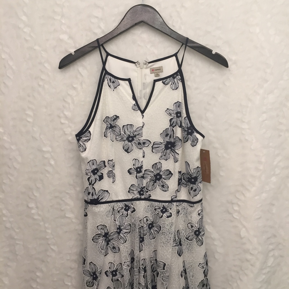 Cremieux | Lainie Floral Lace Dress